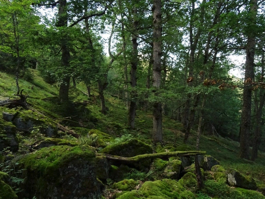 Soria Gathering 2026_8